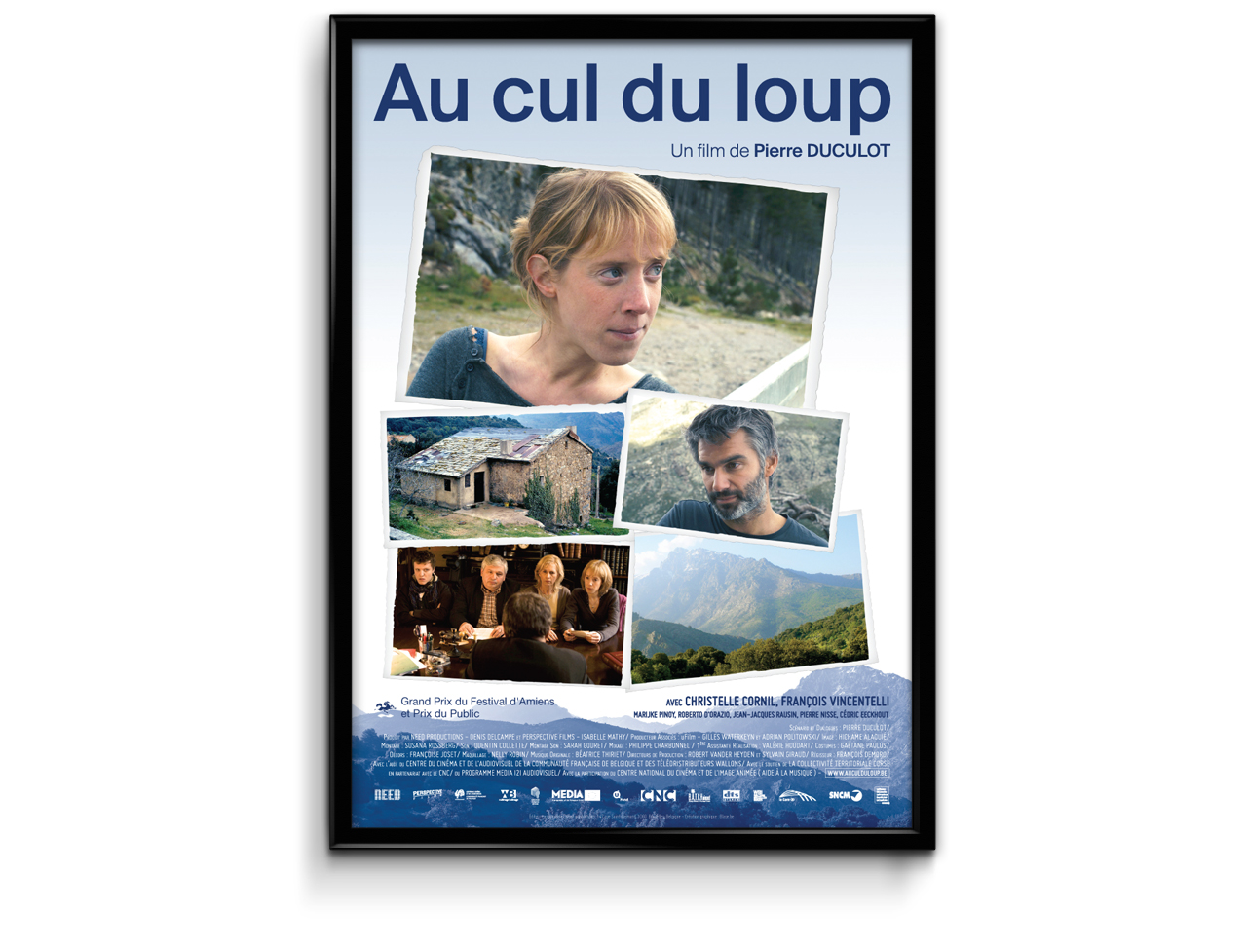 Affiche du film Au cul du loup